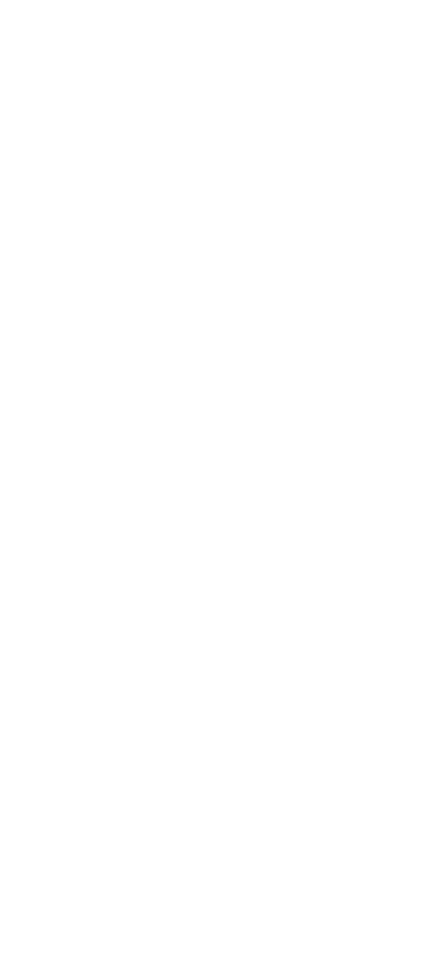 Stripes